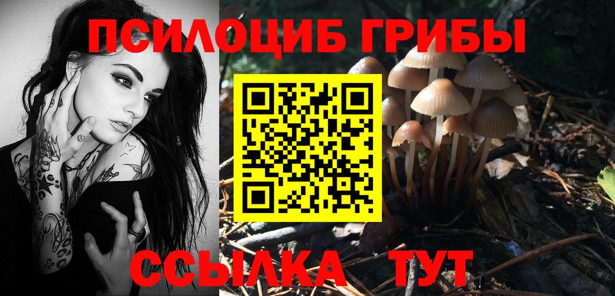 Псилоцибиновые грибы Psilocybe  Вход с VPN  Псилоцибиновые грибы MAGIC MUSHROOMS  Еманжелинск 